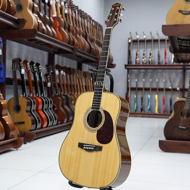 Naranda DG303NA — Акустическая гитара