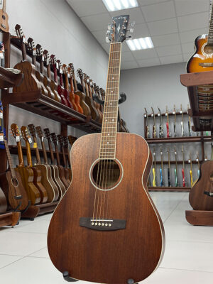 Parkwood PF51M-WBAG-OP — Акустическая гитара с чехлом (фото в магазине)