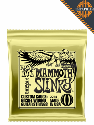 Ernie Ball 2214 NcklWnd 12-62 — Струны электрогитары (основной ракурс)