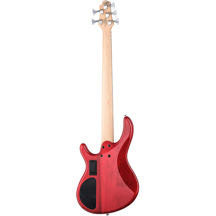 Cort Action-Bass-V-Plus-TR (вид сзади)