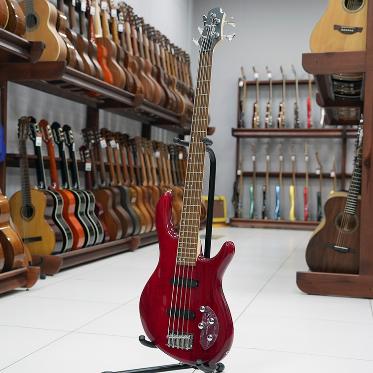 Cort Action-Bass-V-Plus-TR — Бас-гитара 5 струн