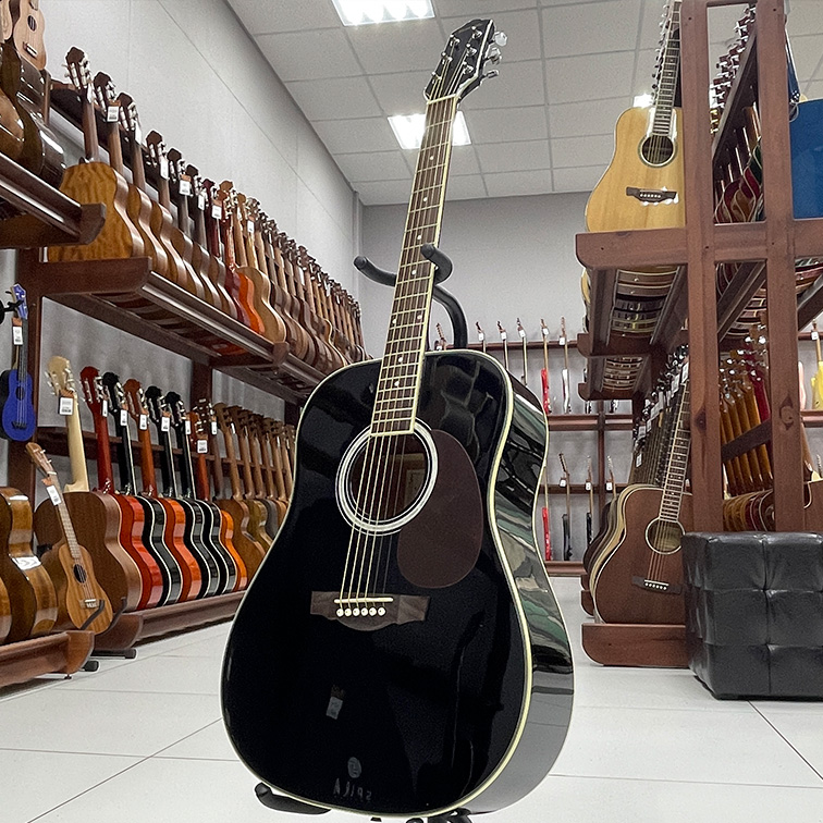 Naranda DG220BK — акустическая гитара