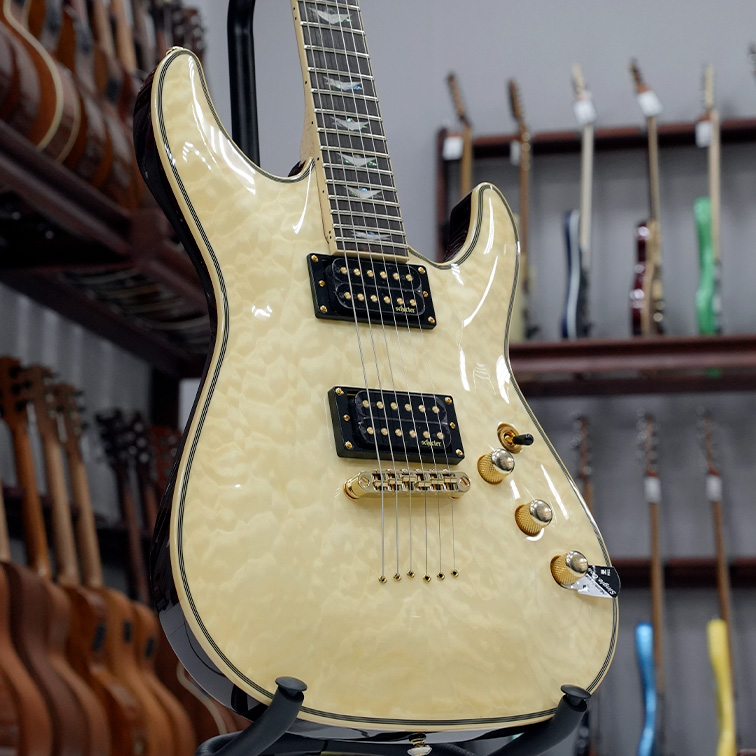 Schecter Omen Extreme-6 GNAT — Электрогитара (верхняя дека)