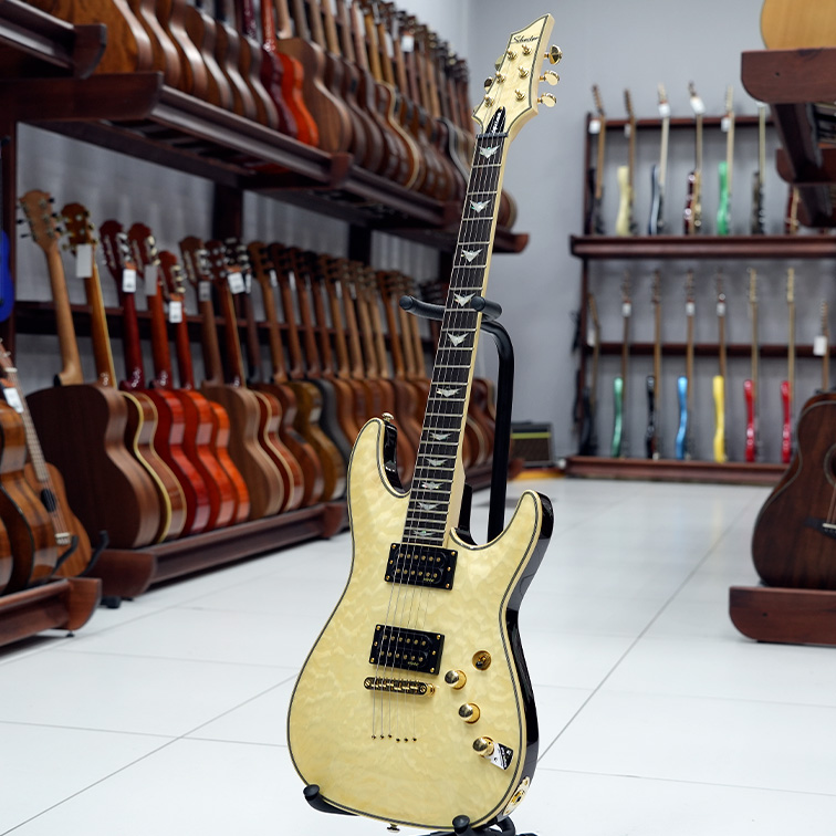 Schecter Omen Extreme-6 GNAT — Электрогитара