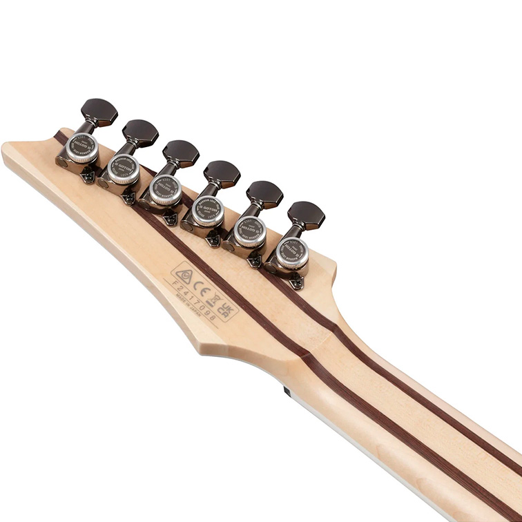 Ibanez Prestige RG5121R-DBF (колки)