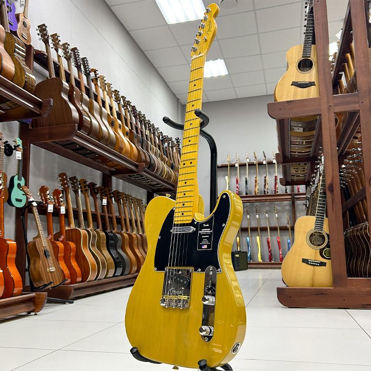 Fender American Professional II Telecaster BTB — Электрогитара