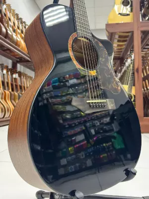 Gopherwood i232RC Midnight Dust с чехлом — Акустическая гитара (верхняя дека)
