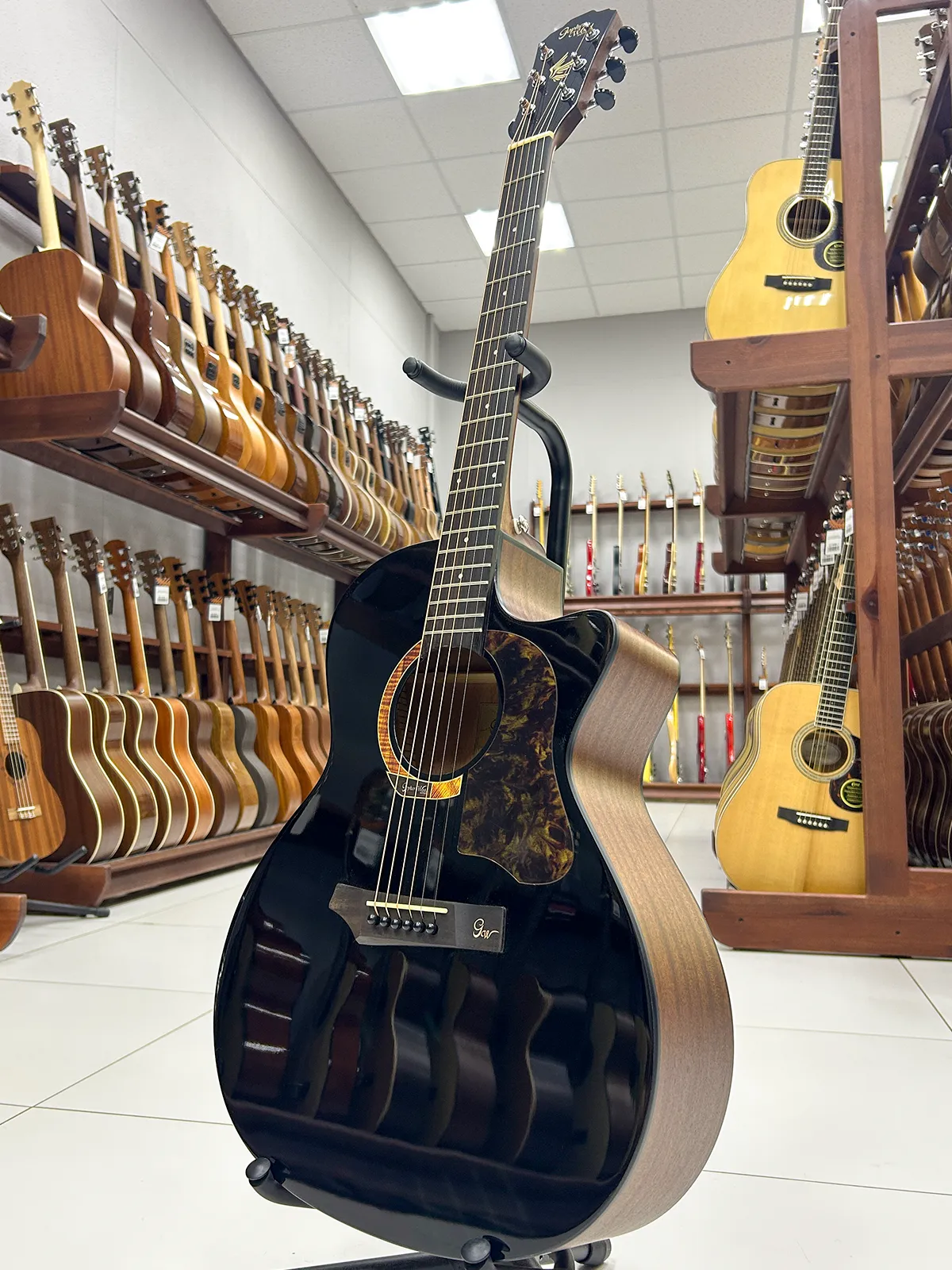 Gopherwood i232RC Midnight Dust с чехлом — Акустическая гитара